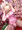メリクリ☆
