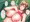 ダイエットを頑張った後輩を茂みに連れ込んで…♥