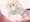 伊予島っぱいに
