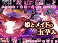 【CG集】姫とメイドの玉孕み