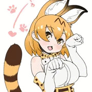ネコノヒ