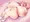 寝そべりゆゆさま