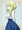 側面ペルママ