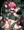 魔法少女、敗北