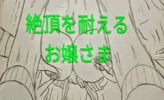 お嬢さま女子校生が電車ち・んされてるところ