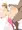 天上院明日香