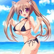 ねこっぱい