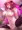 すけべRyS