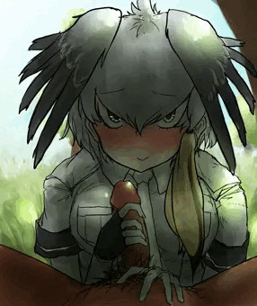 ハシビロフェネアライ