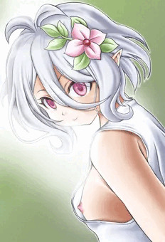 気づいていないコッコロちゃん