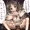 パンツであやとりするありすとセックス