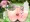 「セイディといにしえの森」CGノベル版前編【サンプル】