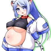 白虎パーカー