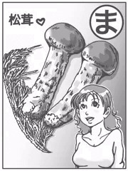 無修正💦