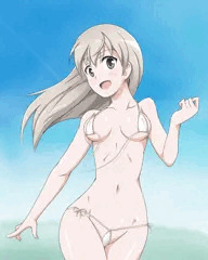 ニプレス
