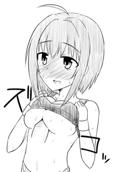 みほたん