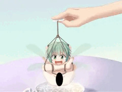 シーバッグ
