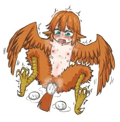 産卵ハーピー
