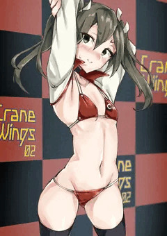 RQ瑞鶴