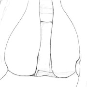 10分模写(股間)