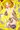幻月くすぐり