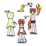 フクロムシ（グロ）