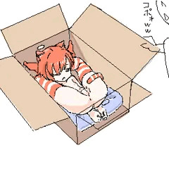 猫宅配