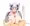 シェリンダ様  パイズリ