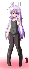 バニんげ