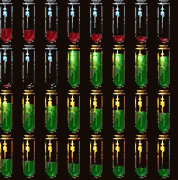 Tam Magnus Life Bottle concept
