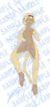 二度目の楊梅抱き枕依頼