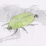逆虫姦があってもいいじゃない