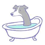 くるっしー