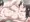 クンニさせてあげるお姉さん