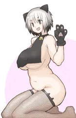 ねこす