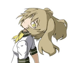 薬のこ