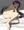 室戸先輩