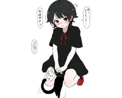 黒猫の聖域