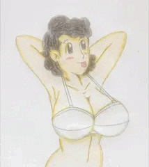 敷島夫人