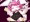 うさみみ
