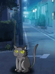 捨て猫を拾ったら……