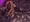 ラバーコミッション