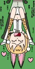 さーかば