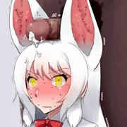 おいなりさんと化したオイナリサマ