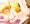 藍しゃま発情中