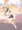 大空を羽ばたくびしょ濡れリンちゃん