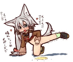 交尾前の躾