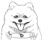 ごめんだが🔞