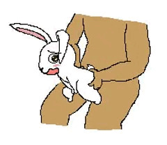 うさぎ