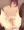 うちの子